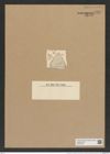 Trinacria pileolus var. ? josefina Grun. (de-Toni-Nr.: Genus 119, Species 3416) Zeichnungen Sammlung Grunow Nr. 6867 (NHMW-BOT-W0375725)